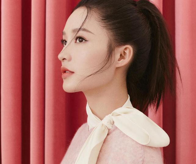 李純跟誰長得像(李純演過正派角色嗎)