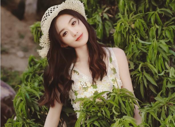趙麗穎愛情電視劇(趙麗穎最高學(xué)歷)